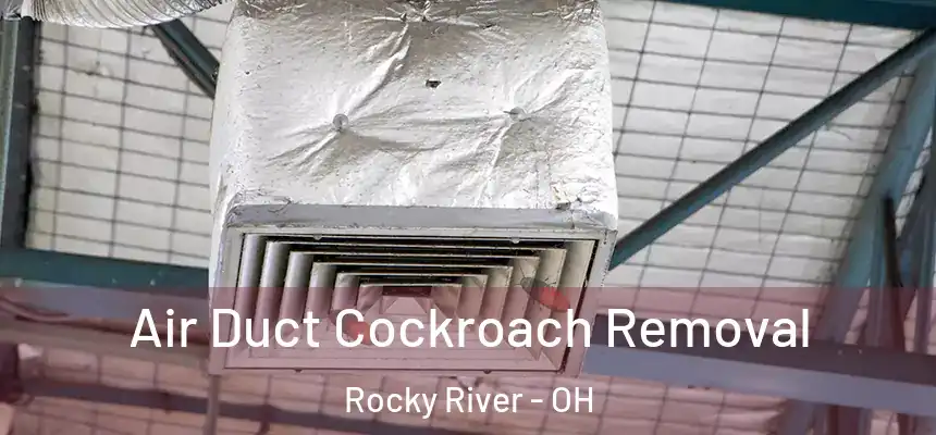  Air Duct Cockroach Removal Rocky River - OH