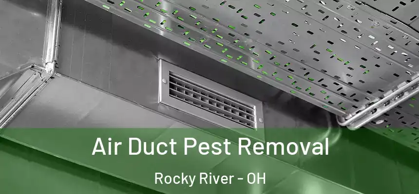 Air Duct Pest Removal Rocky River - OH