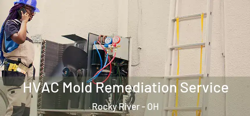  HVAC Mold Remediation Service Rocky River - OH