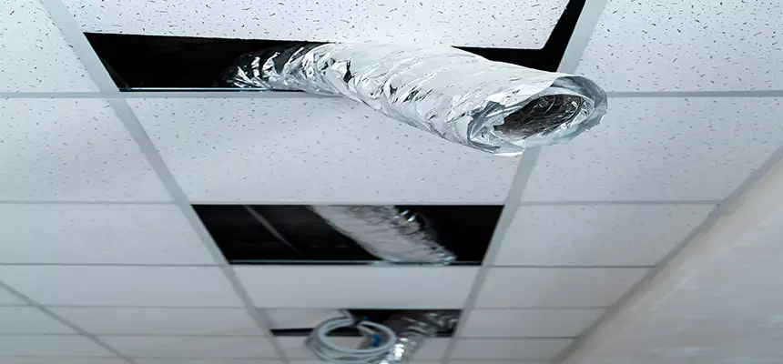 Our Air Duct Pet Hair Removal Services in Rocky River, OH