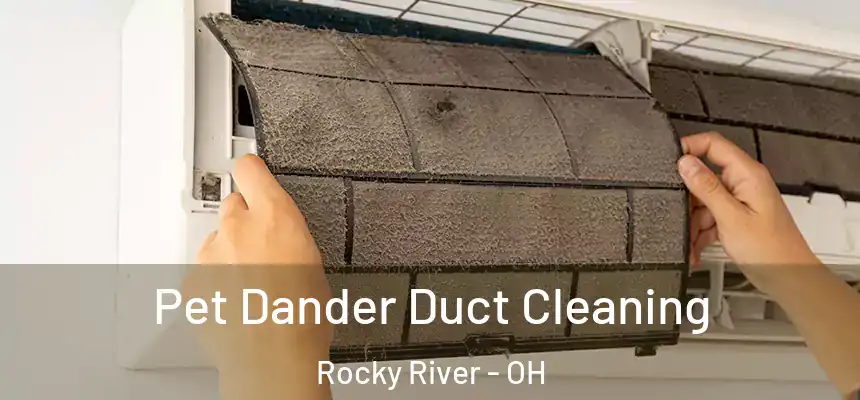 Pet Dander Duct Cleaning Rocky River - OH