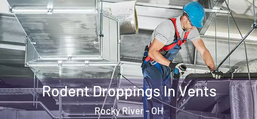  Rodent Droppings In Vents Rocky River - OH