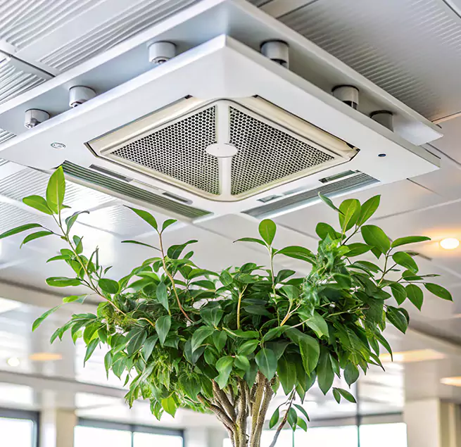 Why Homeowners & Businesses Trust Us in Rocky River, OH?