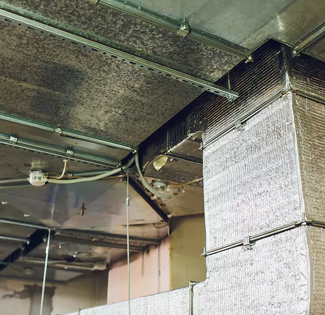 Why Homeowners & Businesses Trust Us in Rocky River, OH?